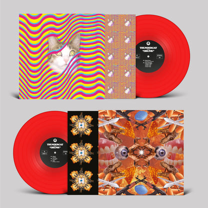 Thundercat - Drunk (2020 Brainfeeder Repress, 4 x 10" 45RPM Box Set)