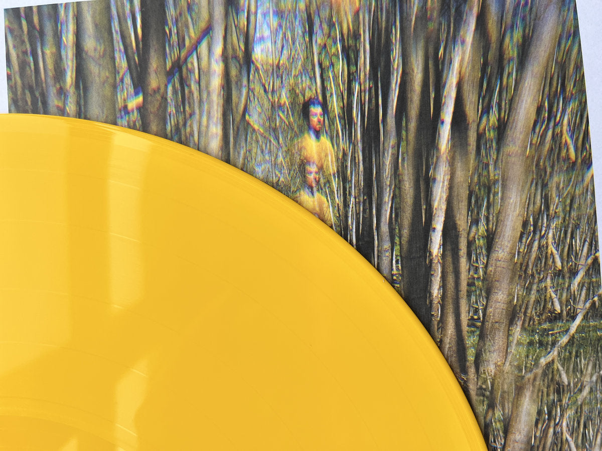 Detail of from cover from Tom Skinner's 'Kaleidoscopic Visions' album