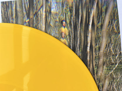 Detail of from cover from Tom Skinner's 'Kaleidoscopic Visions' album