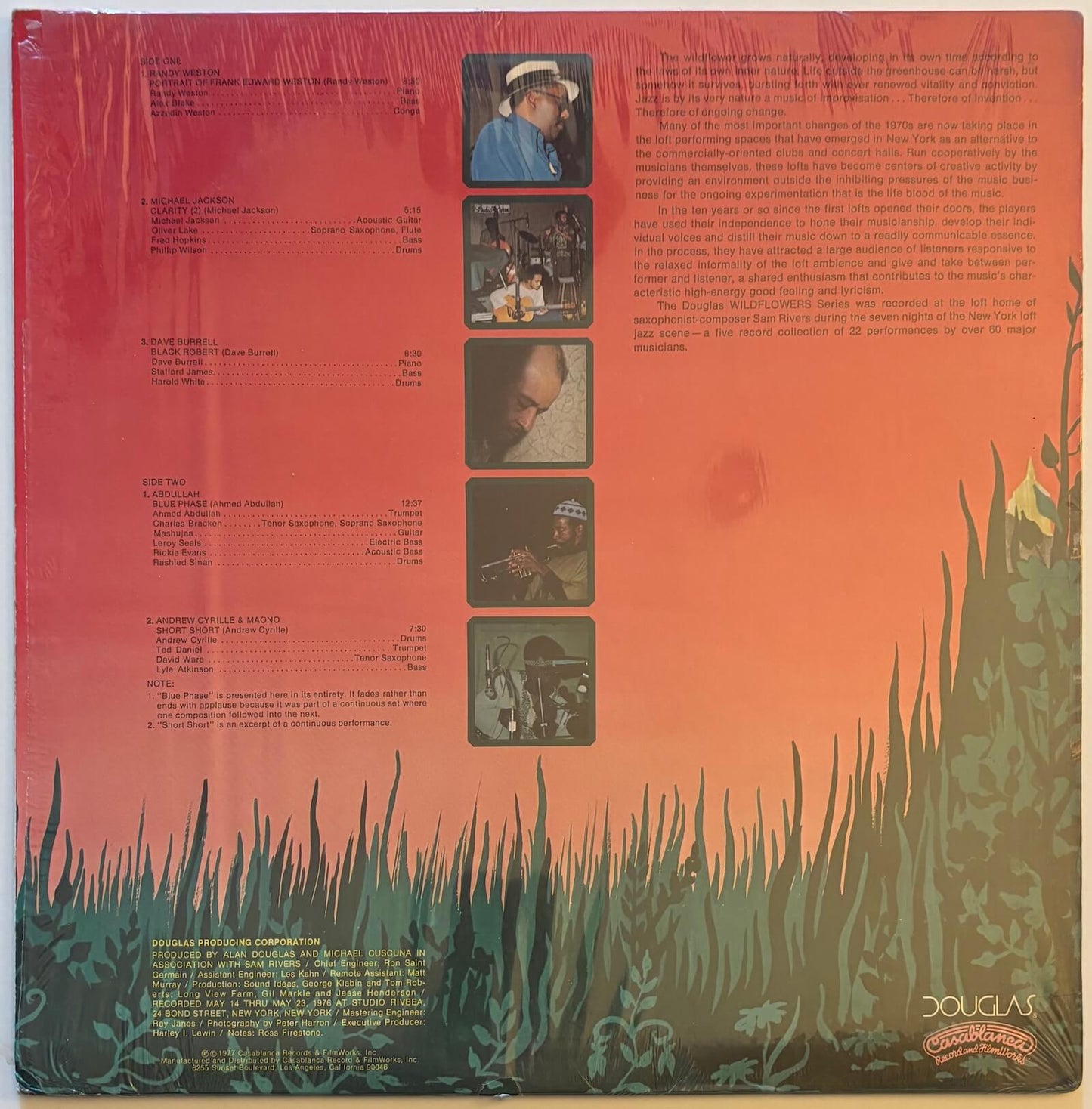 Various - Wildflowers 3: The New York Loft Jazz Sessions (1977 US Douglas Vinyl LP)