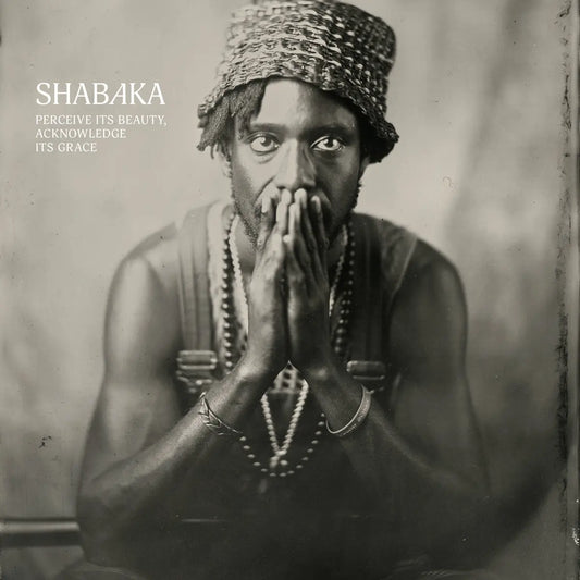 Front cover of vinyl LP album Perceive Its Beauty, Acknowledge Its Grace by Shabaka.