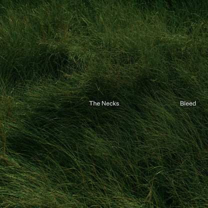 The Necks - Bleed (2024 US Northern Spy Vinyl LP)