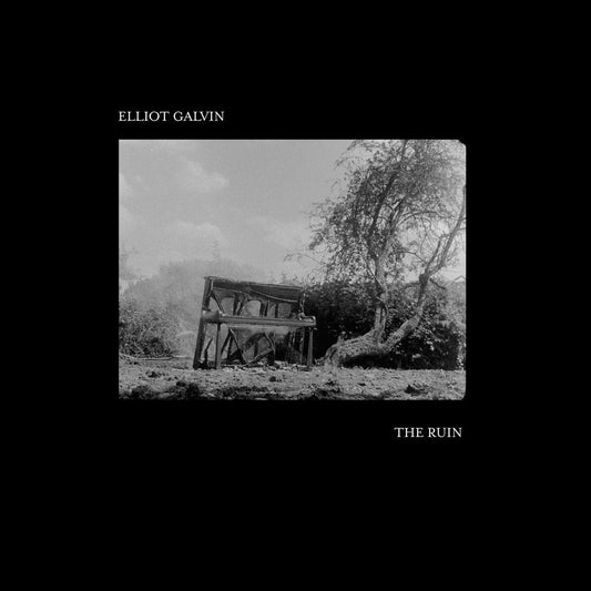 Elliot Galvin - The Ruin (2025 Gearbox Records Vinyl LP)