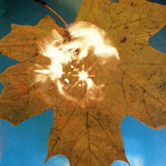 СОЮЗ (SOYUZ) - Force of the Wind (2022 Mr Bongo Vinyl LP)