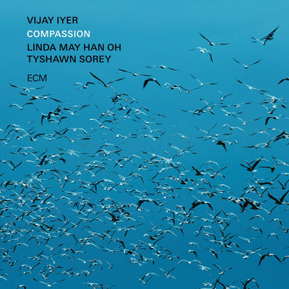 Album cover of Vijay Iyer, Linda May Han Oh, Tyshawn Sorey album Compassion on ECM label.