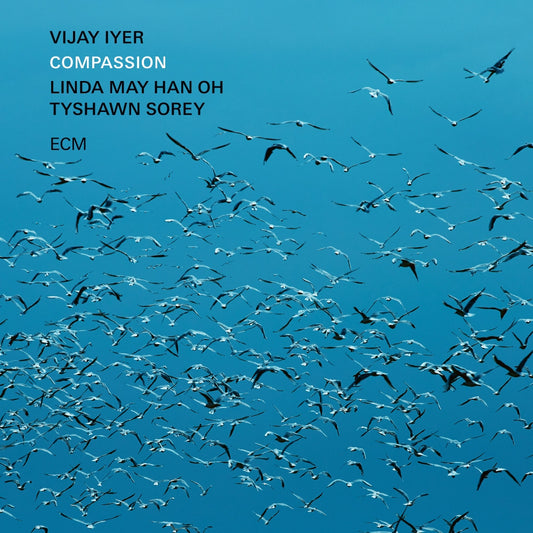 Album cover of Vijay Iyer, Linda May Han Oh, Tyshawn Sorey album Compassion on ECM label.